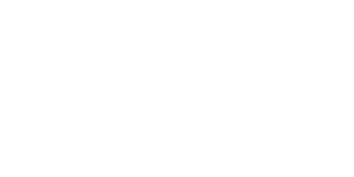 debisa